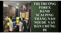 CHIA SẺ KIẾN THỨC FOREX THÌ GIAO DỊCH FOREX LIVE CHỨNG MINH KIẾN THỨC ĐÓ ĐÍ