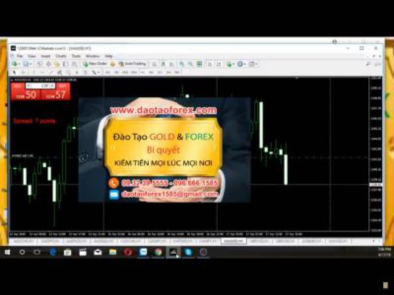 Đầu tư Forex trên thị trường hiệu quả 