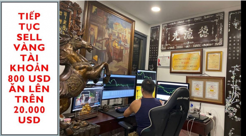 THỰC CHIẾN SCALPING VÀNG TÀI KHOẢN 800 USD ĐÁNH LÊN 20.000 USD