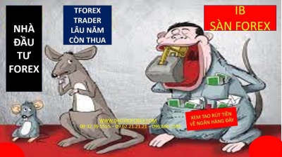 NHÀ ĐẦU TƯ FOREX PHẢI HIỂU TẠI SAO BỌN LỪA ĐẢO FOREX NÓI XEM TIỀN RÚT NGÂN HÀNG CHỨ KHÔNG XEM LỊCH SỬ TRADE