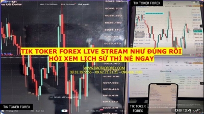 TIK TOKER FOREX LIVE STREAM NHƯ Đ&Uacute;NG RỒI HỎI XEM LỊCH SỬ TH&Igrave; N&Eacute; NGAY