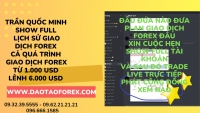 PLAN GIAO DỊCH FOREX TOÀN BỌN NÓI MỒM NHÀ ĐẦU TƯ CẦN THẬN TRỌNG
