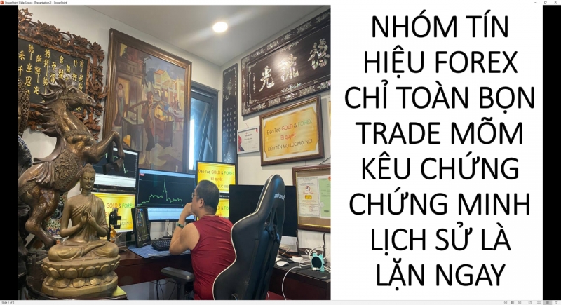 NHÓM TÍN HIỆU FOREX CHỈ TOÀN BỌN TRADE MÕM KÊU CHỨNG CHỨNG MINH LỊCH SỬ LÀ LẶN NGAY