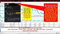 BỌN LỪA ĐẢO FOREX NÓ NÓI: CHƠI FOREX DEMO RÚT ĐƯỢC TIỀN