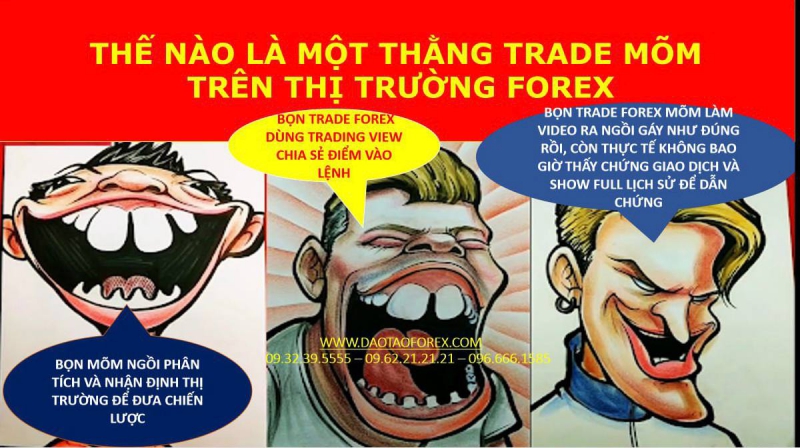 THẾ NÀO LÀ MỘT THẰNG TRADE MÕM TRÊN THỊ TRƯỜNG FOREX