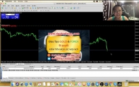 FOREX TRADER