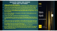 BACKCOM FOREX SÀN EXNESS CÙNG ĐÀO TẠO FOREX