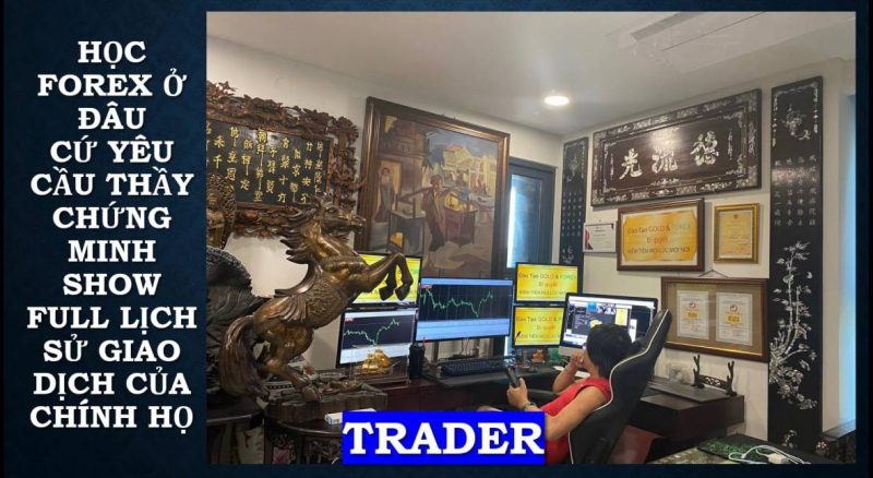CHIA SẺ HỌC FOREX Ở ĐÂU CÓ GIÁ TRỊ THỰC TIỄN