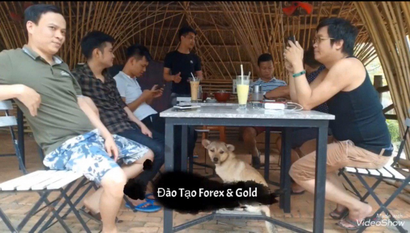 HỌC GIAO DỊCH NGOẠI HỐI ĐỒNG HÀNH LÀ GIÁ TRỊ THÀNH CÔNG