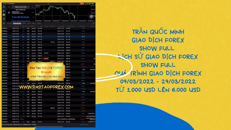 TRẦN QUỐC MINH QUÁ TRÌNH GIAO DỊCH FOREX TỪ 1000 USD LÊN 6000 USD