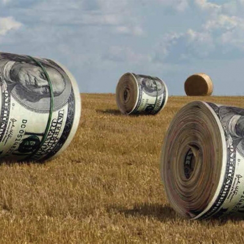 Giao dịch Forex đây là một nghề của nghệ thuật đầu tư buốn tiền