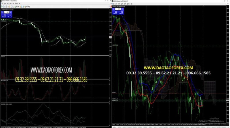 CÔNG CỤ FOREX NÀO CÓ THỂ GIAO DỊCH THÀNH CÔNG