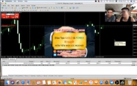 Nhà đầu tư Forex muốn giao dịch được khi tham gia vào thị trường Forex