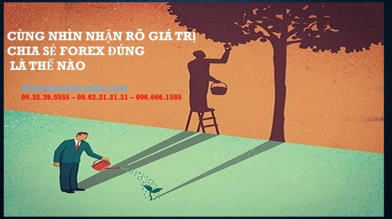 CÙNG NHÌN NHẬN RÕ GIÁ TRỊ CHIA SẺ FOREX ĐÚNG LÀ THẾ NÀO