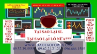 TẠI SAO NHÀ ĐẦU TƯ FOREX KHÔNG THẾ GIAO DỊCH ĐƯỢC