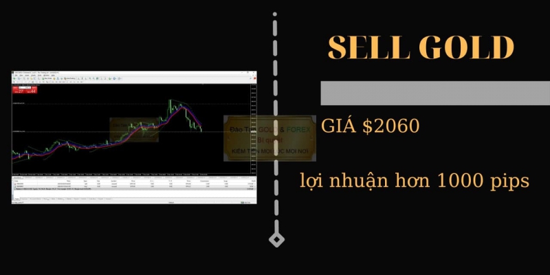 ĐÀO TẠO FOREX CHỨNG MINH THỰC TẾ SELL VÀNG ĂN 1000 PIP