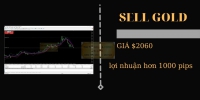 ĐÀO TẠO FOREX CHỨNG MINH THỰC TẾ SELL VÀNG ĂN 1000 PIP