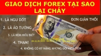 GIAO DỊCH FOREX TẠI SAO LẠI CHÁY