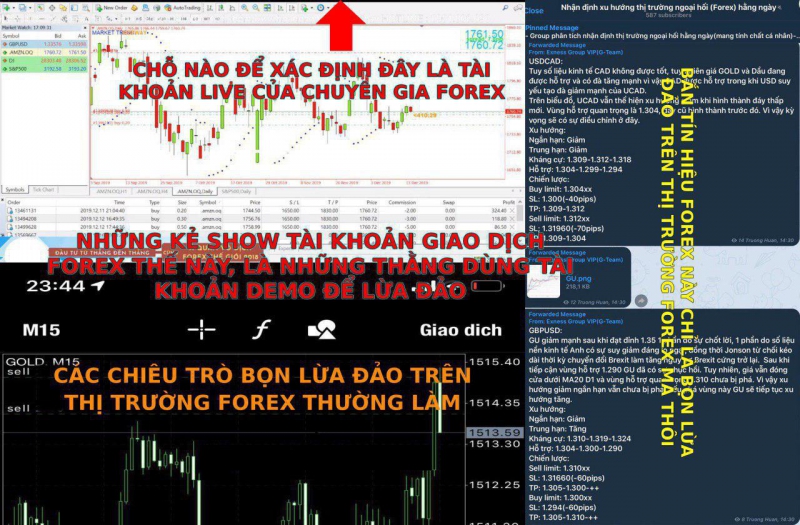THỊ TRƯỜNG FOREX CÁC  CHIÊU TRÒ CỦA NHỮNG THẰNG SỬ DỤNG DEMO ĐỂ LỪA ĐẢO