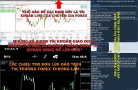THỊ TRƯỜNG FOREX CÁC  CHIÊU TRÒ CỦA NHỮNG THẰNG SỬ DỤNG DEMO ĐỂ LỪA ĐẢO