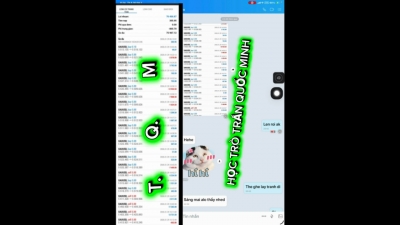 THỰC CHIẾN FOREX GI&Aacute; TRỊ HỌC TR&Ograve; THẦY TRẦN QUỐC MINH CHỨNG MINH