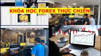 KHÓA HỌC FOREX THỰC CHIẾN
