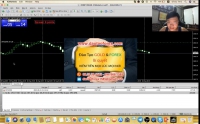 Thị trường Forex, nhà đầu tư Forex sẽ thấy rất nhiều các trò