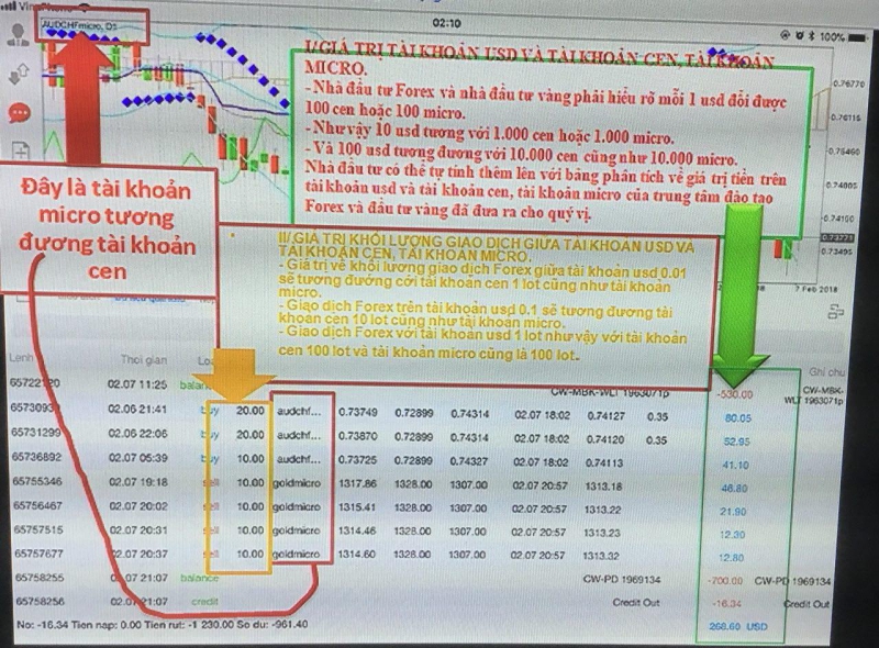 Trung tâm đào tạo Forex và đầu tư vàng