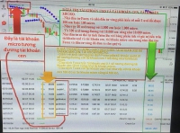 Trung tâm đào tạo Forex và đầu tư vàng