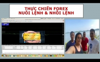 GIAO DỊCH FOREX BỊ QUÉT STOP LOSS DO ĐÂU