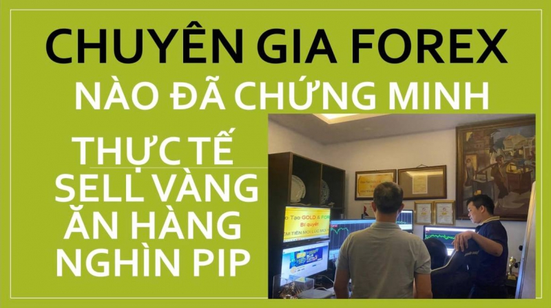CHUYÊN GIA FOREX