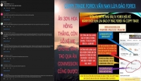 COPPY TRADE FOREX VẤN NẠN LỪA ĐẢO FOREX HIỆN NÀY