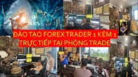 ĐÀO TẠO FOREX TRADER 1 KÈM 1 TRỰC TIẾP TẠI PHÒNG TRADE