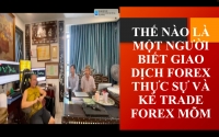 THẾ NÀO LÀ MỘT NGƯỜI BIẾT GIAO DỊCH FOREX THỰC SỰ VÀ KẺ TRADE FOREX MÕM