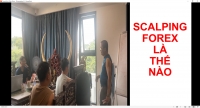 SCALPING FOREX LÀ THẾ NÀO