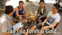 TRUNG TÂM ĐÀO TẠO FOREX GIÁ TRỊ THỰC