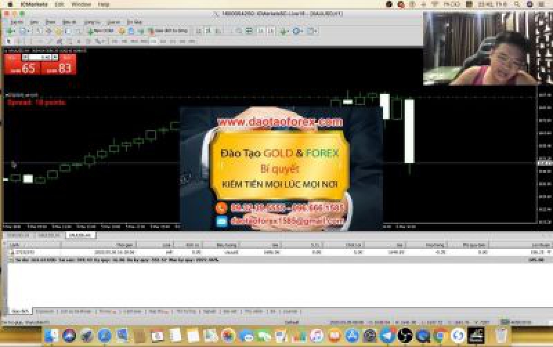 GIAO DỊCH FOREX TÀI KHOẢN NHỎ HAY LỚN TẤT CẢ Ở KỸ NĂNG