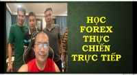 BỌN KHÔNG TRADE ĐƯỢC MỚI GÁY TRÊN BACKTEST VỀ KẾN THỨC FOREX CỦA CHÚNG MÀ THÔI