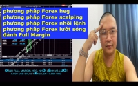 KỸ NĂNG GIAO DỊCH FOREX FULL MARGIN HEG NHỒI LỆNH  SCALP VÀ LƯỚT TỪ 9.500 USD LÊN 17.000 USD TRONG 2 TÍẾNG