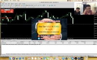 COPY TRADE HÌNH THỨC SÀN FOREX VÀ IB DỤ DỖ NHÀ ĐẦU TƯ FOREX