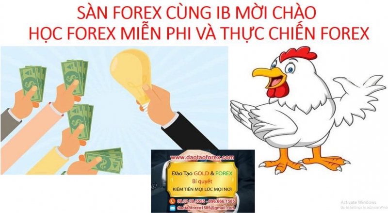 SÀN FOREX CÙNG IB MỜI CHÀO HỌC FOREX MIỄN PHI VÀ THỰC CHIẾN FOREX