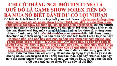 CHỈ CÓ THẰNG NGU MỚI TIN FTMO LÀ QUỸ ĐÓ LÀ GAME SHOW FOREX TIỀN BỎ RA MUA NÓ BIẾT ĐÁNH DƯ CÓ LỢI NHUẬN