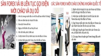 SÀN FOREX VÀ IB LIÊN TỤC GỌI ĐIỄN MỜI CHÀO VÀ DỤ DỖ