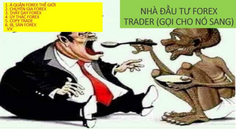 THỊ TRƯỜNG FOREX BÁNH VẼ LỢI NHUẬN LÀ THẾ NÀO