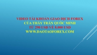 QUẢN LÝ VỐN FOREX 11 NĂM KHÔNG CHỨNG MINH THỰC TẾ ĐƯỢC CHỈ LÀ THẰNG LỪA ĐẢO