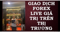 GIAO DỊCH FOREX NẾU DỄ NHƯ NHỮNG GÌ CHÚNG GÁY TRÊN TRADING VIEW CHÚNG ĐÃ DẪN CHỨNG THỰC TẾ ĐƯỢC RỒI