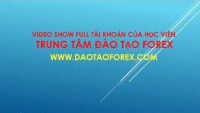 ĐÀO TẠO FOREX GIÁ TRỊ CHỨNG MINH THỰC TIỄN