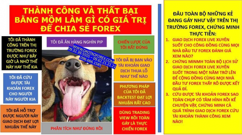 THÀNH CÔNG VÀ THẤT BẠI BẰNG MỒM LÀM GÌ CÓ GIÁ TRỊ ĐỂ CHIA SẺ FOREX