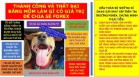 THÀNH CÔNG VÀ THẤT BẠI BẰNG MỒM LÀM GÌ CÓ GIÁ TRỊ ĐỂ CHIA SẺ FOREX