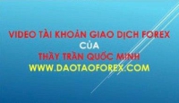 KHÓA HỌC FOREX CHO NGƯỜI MỚI BẮT ĐẦU